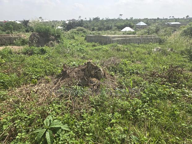 A Land at Antoa-Adesina for Sale · Photo 3