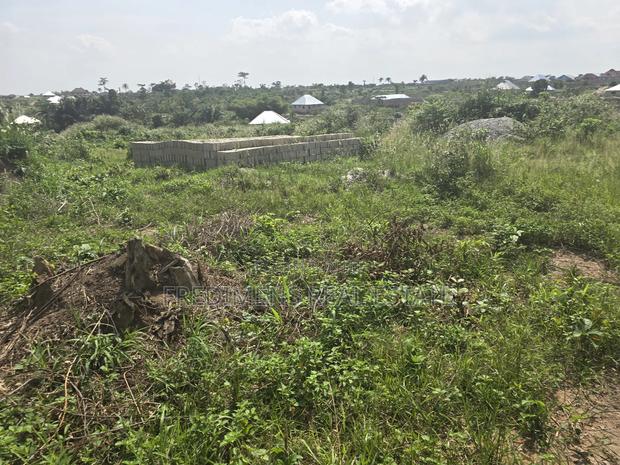 A Land at Antoa-Adesina for Sale · Photo 4