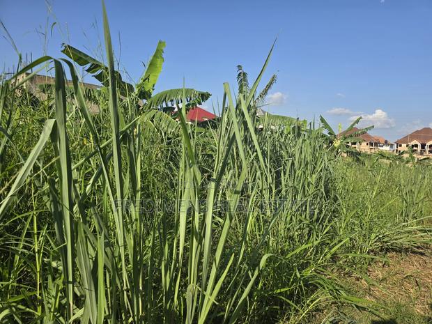 A Land at Kokoben for Sale · Photo 1