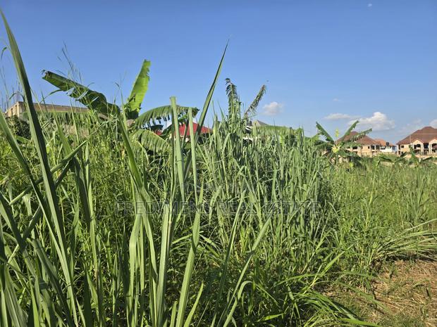 A Land at Kokoben for Sale · Photo 2