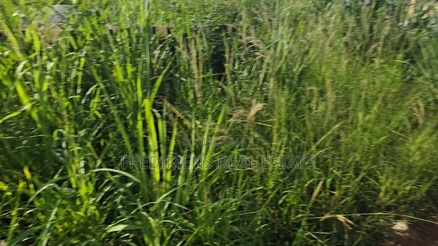 A Land at Kokoben for Sale · Photo 6