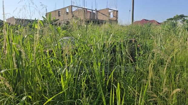 A Land at Kokoben for Sale · Photo 8