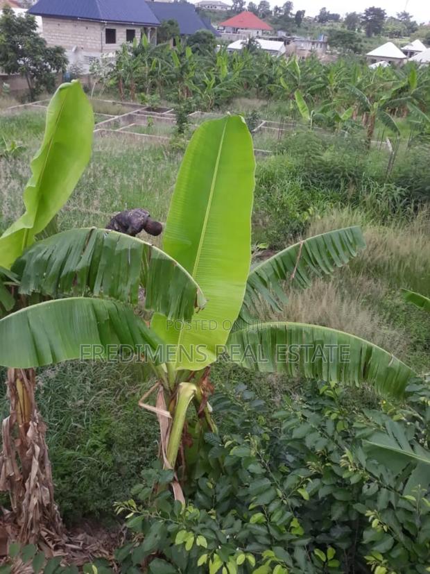 One and Half Icre Plot at Faade for Sale · Photo 3