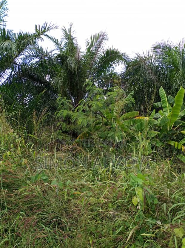 3000 Acres of Farm Land for Lease · Photo 1