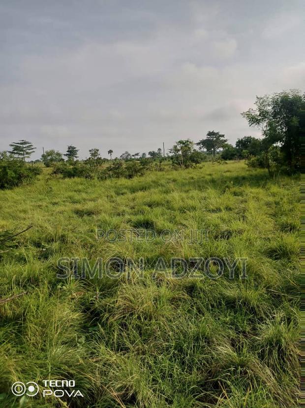 3000 Acres of Farm Land for Lease · Photo 3