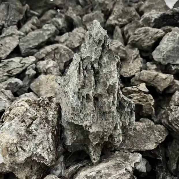 Azure Dragon Stone (Aquarium Stone) · Photo 1