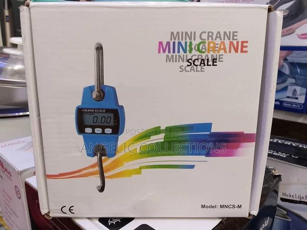 Mini Crane Scale · Photo 1
