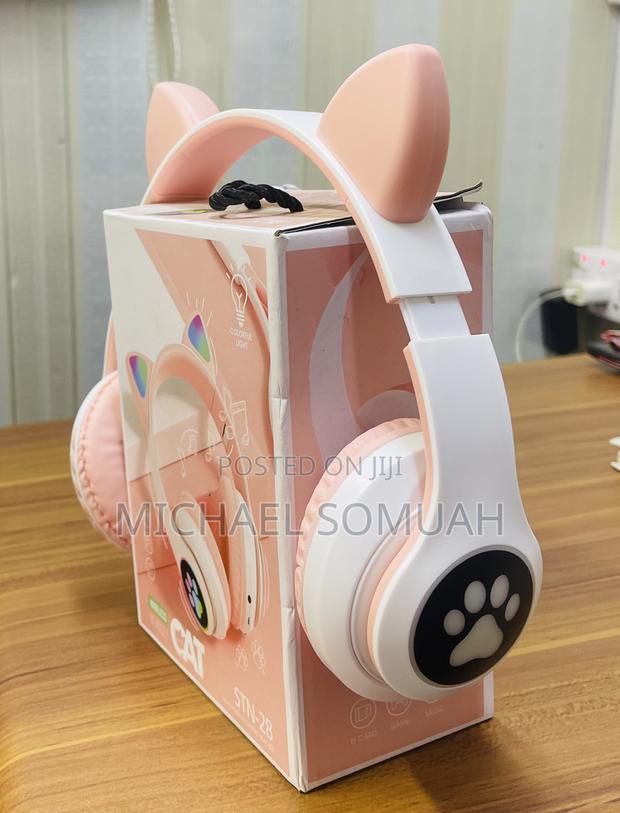 STN Cat Headset · Photo 1