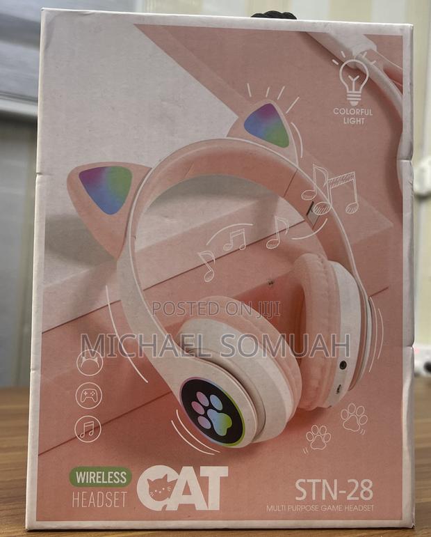 STN Cat Headset · Photo 2