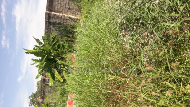 Land for Sale at Ga West (Manhean) · Photo 1
