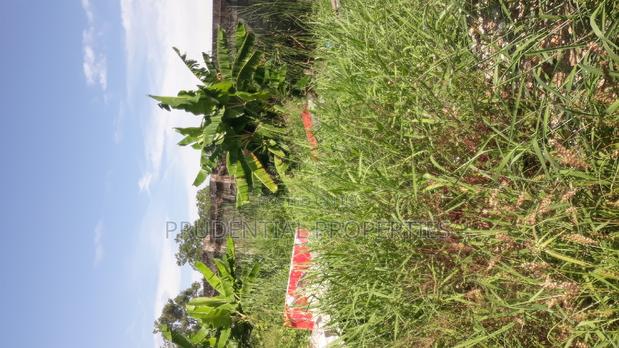Land for Sale at Ga West (Manhean) · Photo 7