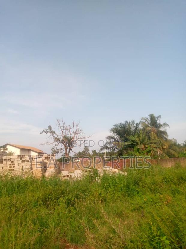 One Line From Roadside Land for Sale at Valley View · Photo 3