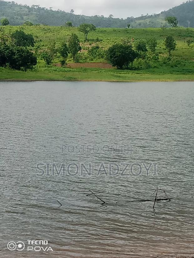 20 Acres of Farm Land for Sale · Photo 1