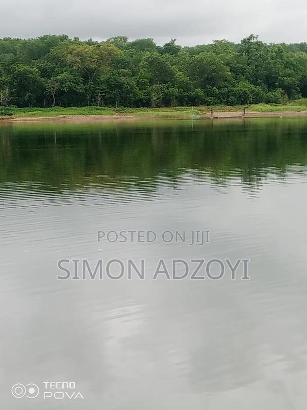 20 Acres of Farm Land for Sale · Photo 2