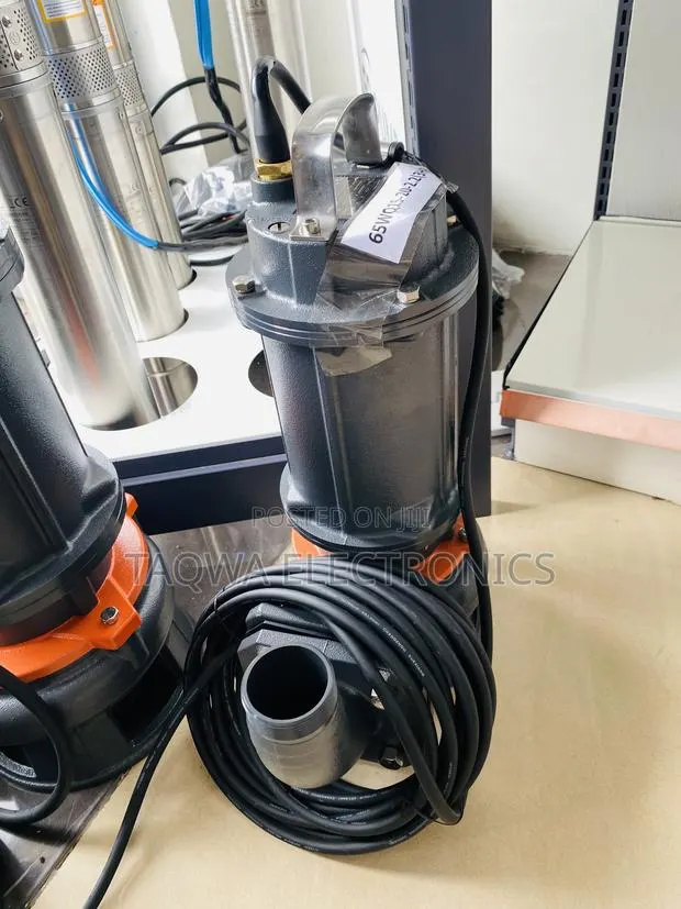 Smooth Working Leo 3hp Sewage Pump · Photo 1
