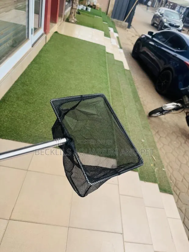 Grafe a Black Pond Net · Photo 2