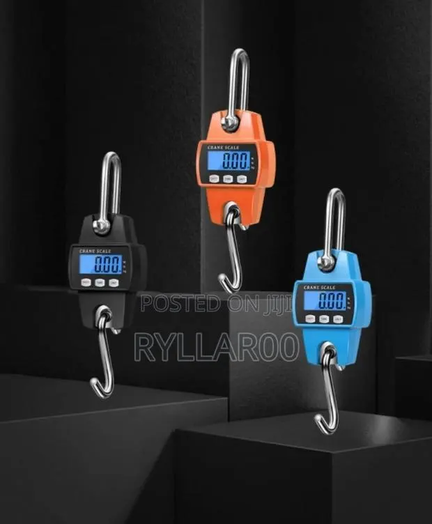 300kg Professional Crane Scale · Photo 1
