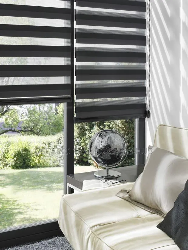 Gabriella Stylish Zebra Blinds · Photo 1