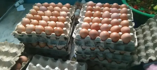Fresh Organic Eggs · Photo 1