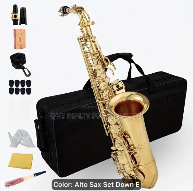 Professional E-Flat Alto Saxophone Set Plus Cordless Microphone · Photo 1