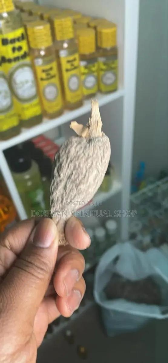 Full Alligator Pepper · Photo 1