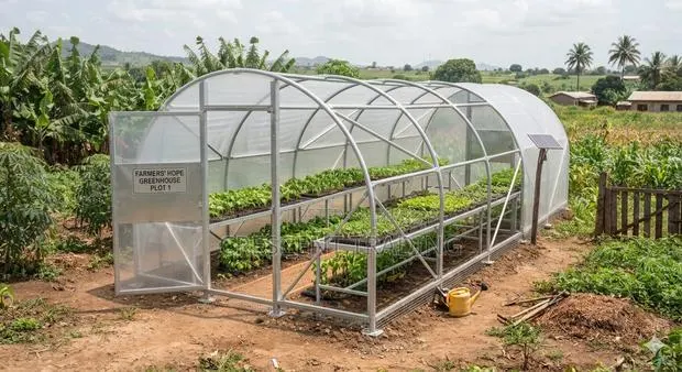 Greenhouse · Photo 2
