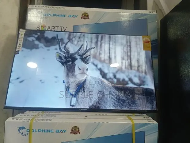 Spectraview Dolphine Bay 43-Inch Smart Tv, Dolphine Bay Smart Tv · Photo 1