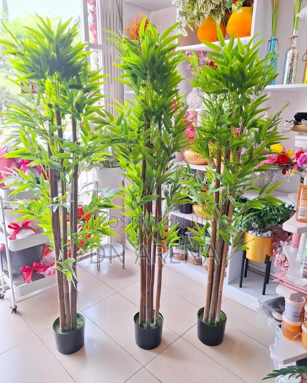Large Potted Faux Bamboo Plant
Measures 1.7m Long · Photo 1