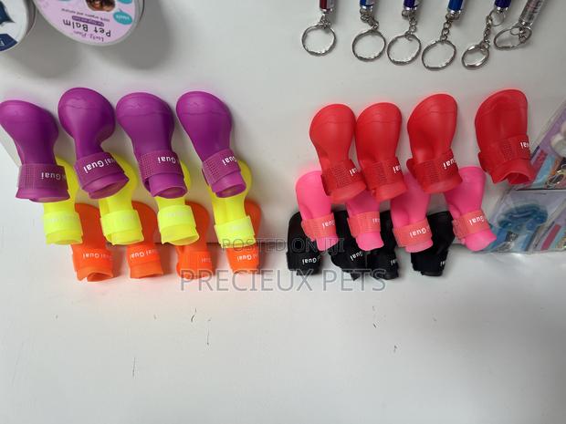 Toy Dogs Shoes · Photo 2