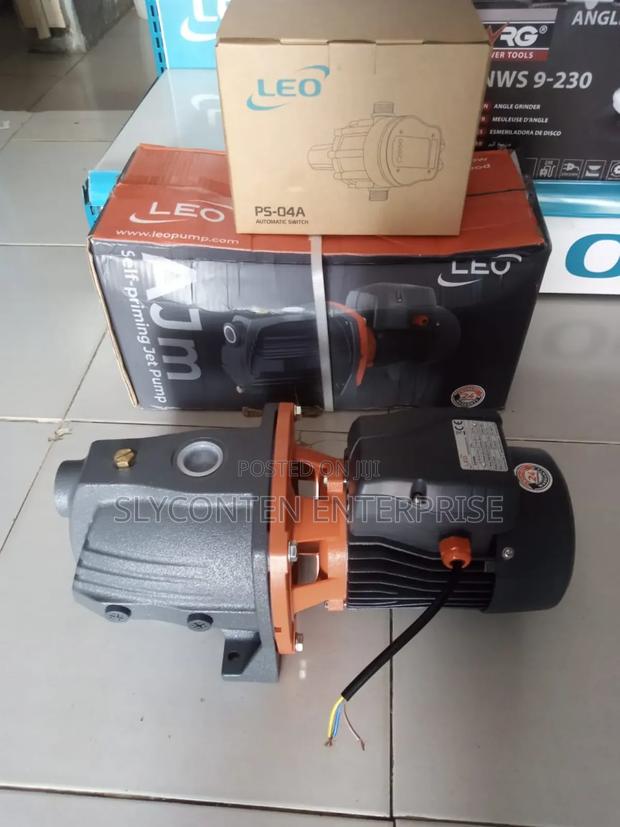 Leo 1.0hp Automatic Water Pump · Photo 3