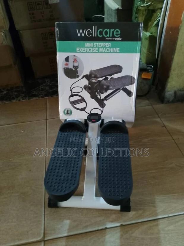 Well Care Mini Stepper · Photo 1