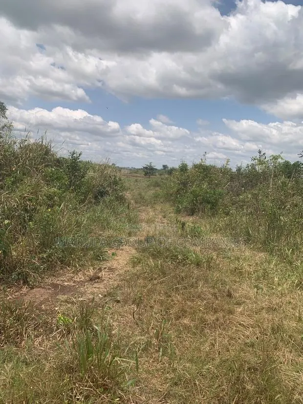 Litigation-Free Land at Sege Junction - Free Site Visit - Call Madula · Photo 1