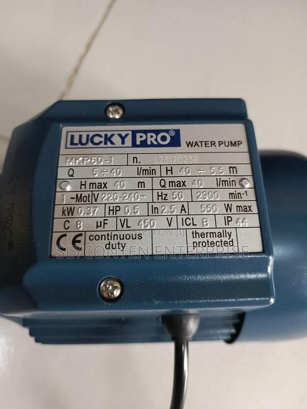 Lucky Pro 0.5hp Water Pump · Photo 3