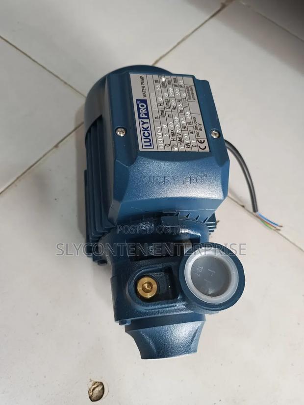 Lucky Pro 0.5hp Water Pump · Photo 2