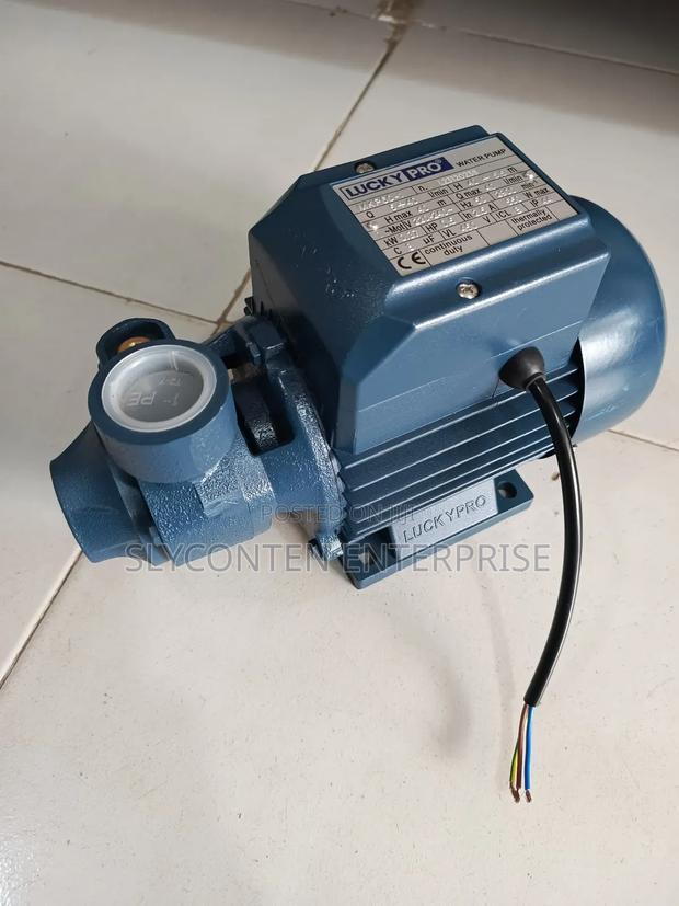 Lucky Pro 0.5hp Water Pump · Photo 1