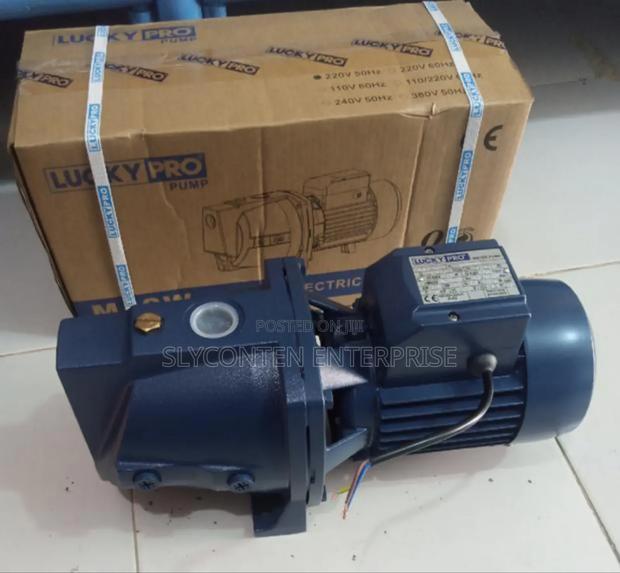 Lucky Pro 1.0hp Water Pump · Photo 1