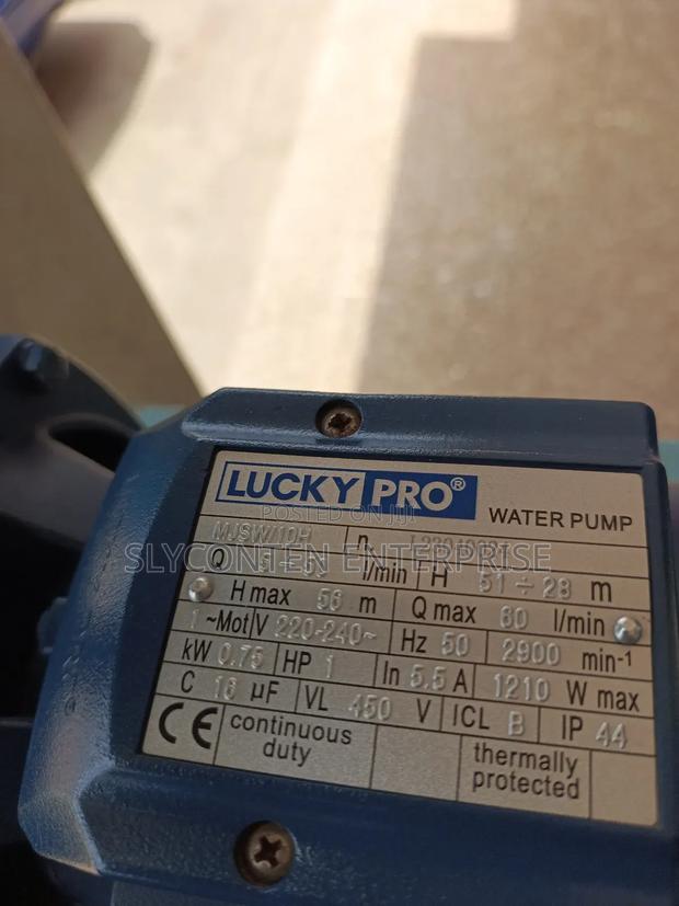 Lucky Pro 1.0hp Water Pump · Photo 2