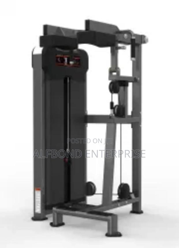 Commercial Standing Calf Machine · Photo 2