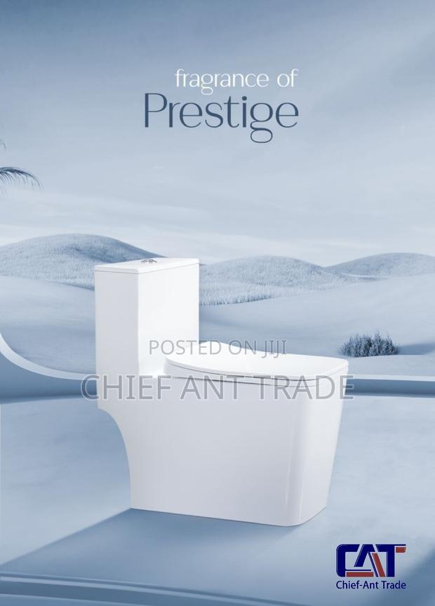 Toilet Seat- 1 Piece / Combined. 501/306 · Photo 6