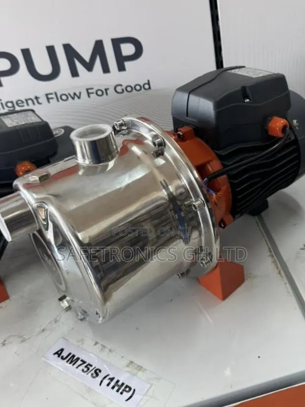 Newest Leo (Stainless Steel) Ajm75/S 1hp Salt Resistant Water Pump · Photo 1