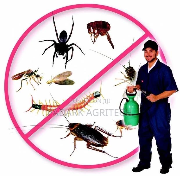 Fumigation Services