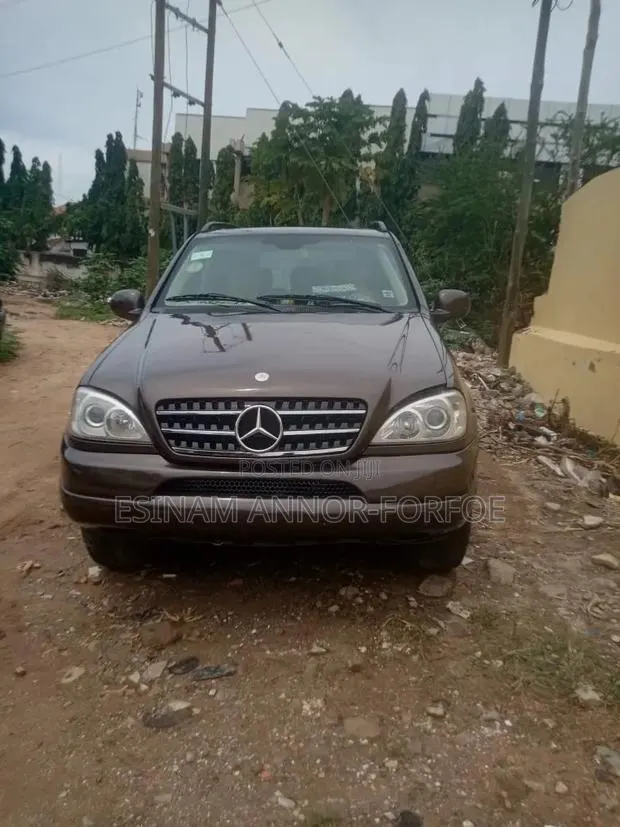 Mercedes-Benz M Class ML 320 2001 Brown · Photo 1