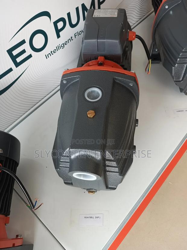 Leo 1.5hp Water Pump (Ajm90)