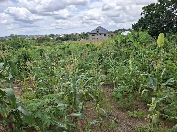 Full Plot of Land for Sale in Sokoban Konkorl · Photo 1