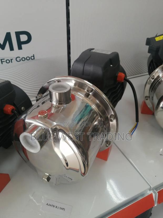 1 Horse Power Stainless Water Pump - Leo Water Pump 1hp · Photo 1