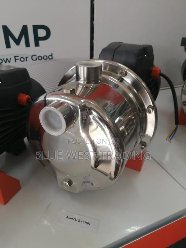 1 Horse Power Stainless Water Pump - Leo Water Pump 1hp · Photo 3