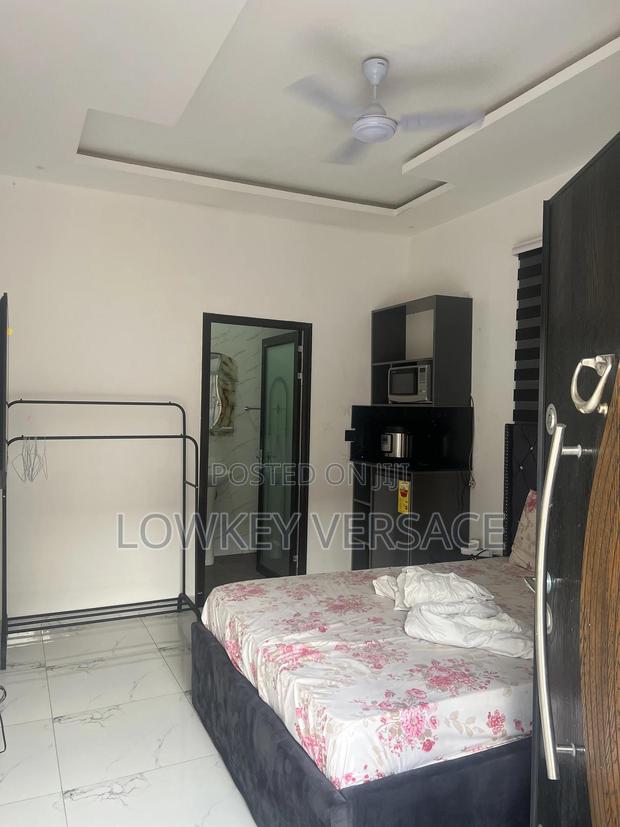 Furnished Studio Apartment + Gen+Starlink Internet+ DSTV · Photo 4