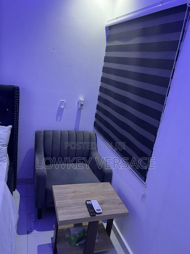 Furnished Studio Apartment + Gen+Starlink Internet+ DSTV · Photo 5