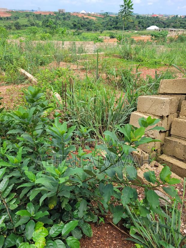 Land for Sale at Brofoyedro Ampemanim · Photo 3