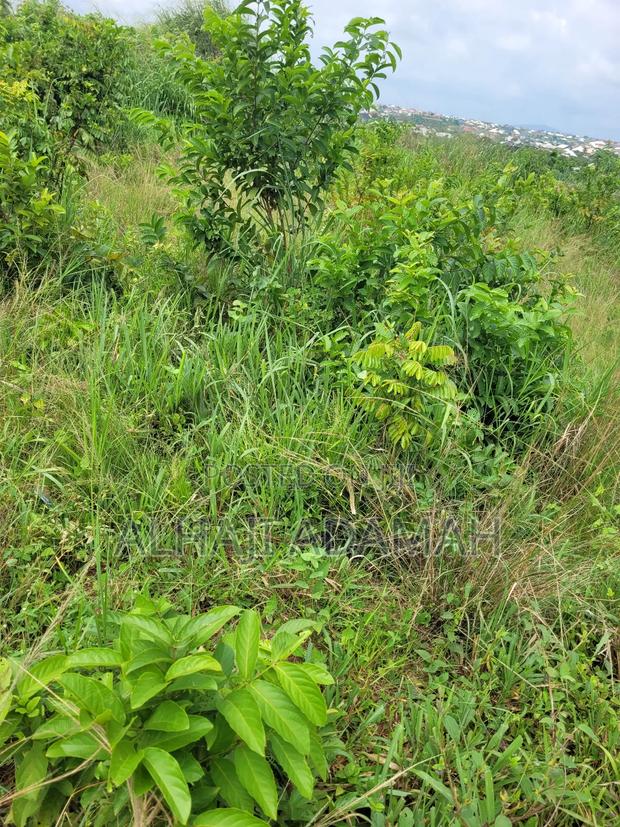 Land for Sale at Brofoyedro Ampemanim · Photo 4